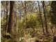 Lot 1 Farrells Road, Reedy Marsh TAS 7304