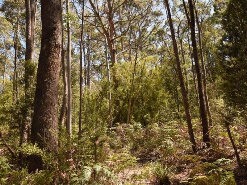 Lot 1 Farrells Road, Reedy Marsh TAS 7304