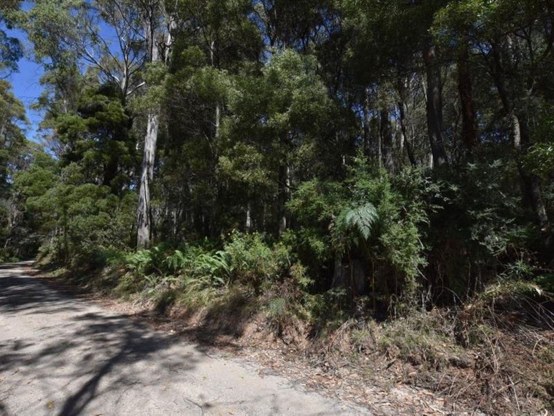 Lot 1 Farrells Road, Reedy Marsh TAS 7304
