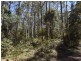Lot 1 Farrells Road, Reedy Marsh TAS 7304