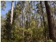 Lot 1 Farrells Road, Reedy Marsh TAS 7304