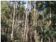 Lot 1 Tasman Highway, Targa TAS 7259