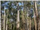 Lot 1 Tasman Highway, Targa TAS 7259