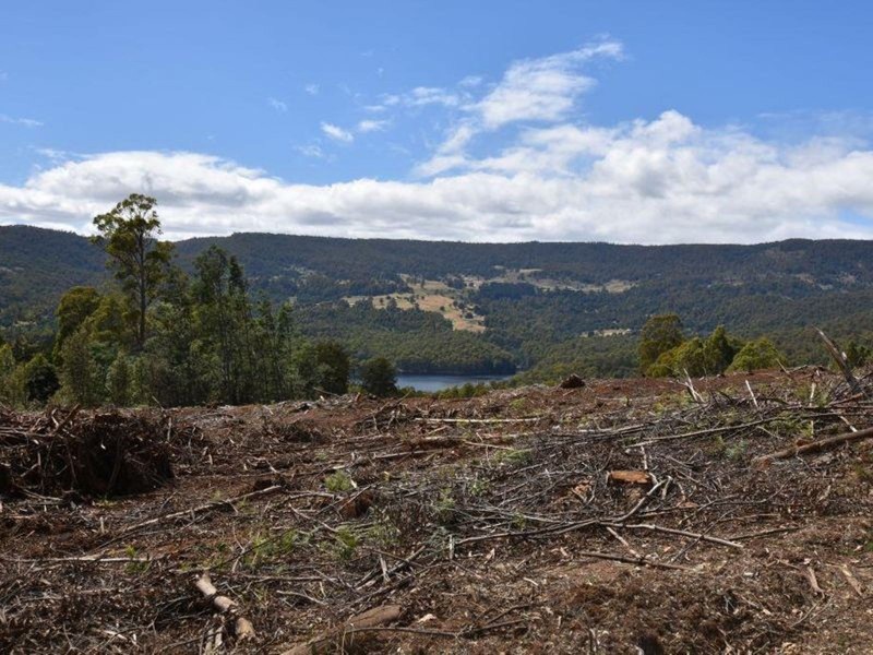 Lot 1 Dolcoath Road, Moina TAS 7310