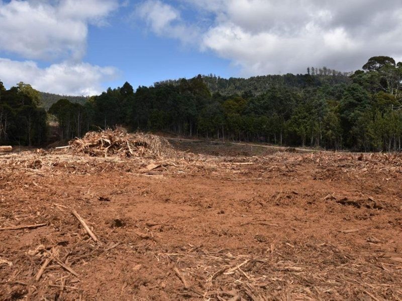 Lot 1 Dolcoath Road, Moina TAS 7310