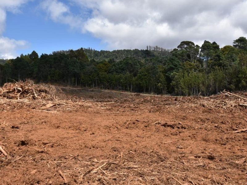 Lot 1 Dolcoath Road, Moina TAS 7310