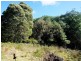 Lot 1 Dolcoath Road, Moina TAS 7310