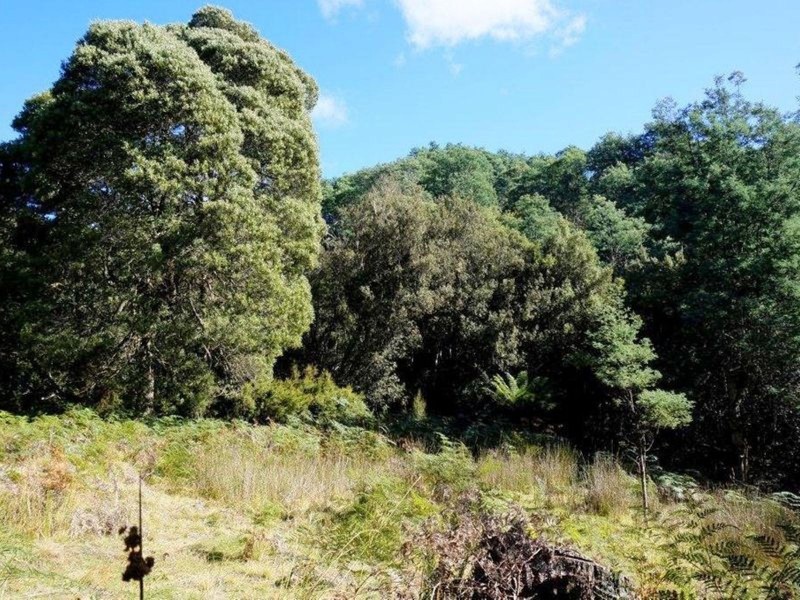 Lot 1 Dolcoath Road, Moina TAS 7310