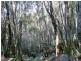 Lot 1 Dolcoath Road, Moina TAS 7310