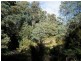 Lot 1 Dolcoath Road, Moina TAS 7310