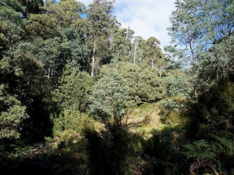 Lot 1 Dolcoath Road, Moina TAS 7310