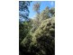 Lot 1 Dolcoath Road, Moina TAS 7310