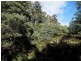 Lot 1 Dolcoath Road, Moina TAS 7310
