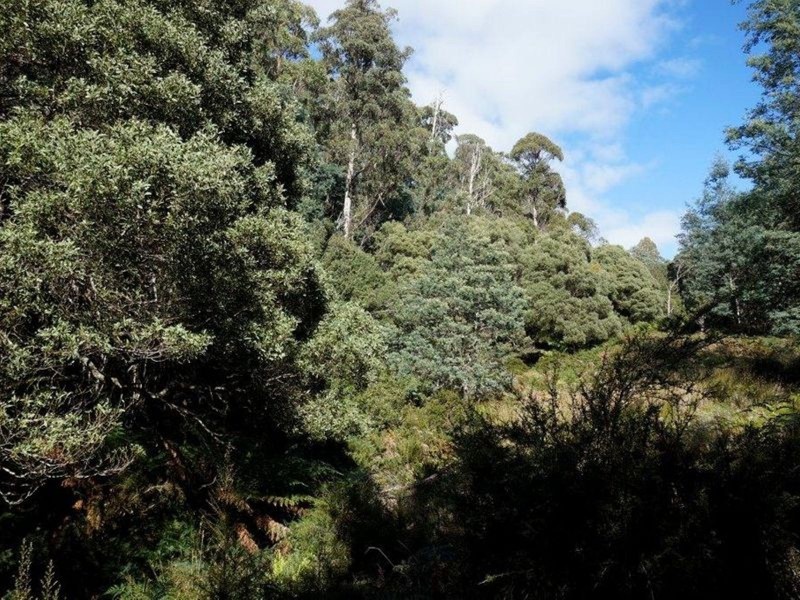 Lot 1 Dolcoath Road, Moina TAS 7310