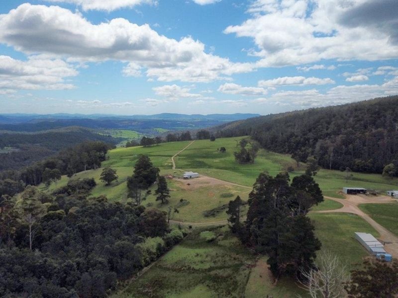 983 Bogan Road, Quamby Brook TAS 7304