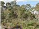 Lot 2 English Town Road, Evandale TAS 7212