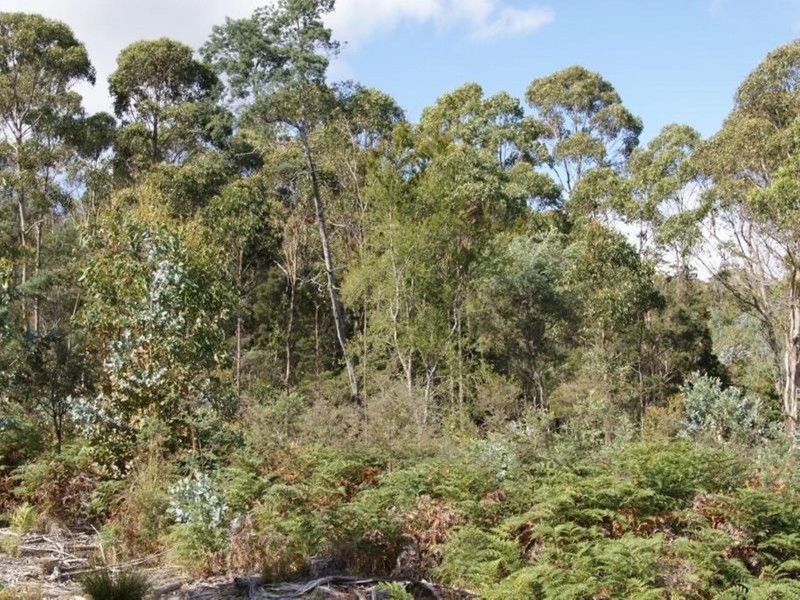 Lot 2 English Town Road, Evandale TAS 7212
