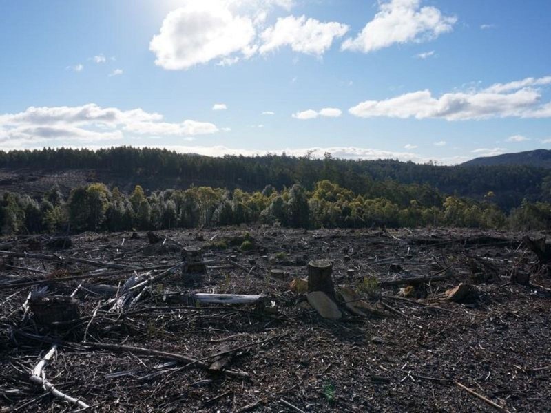 Lot 1 Maroney’s Road, Deloraine TAS 7304