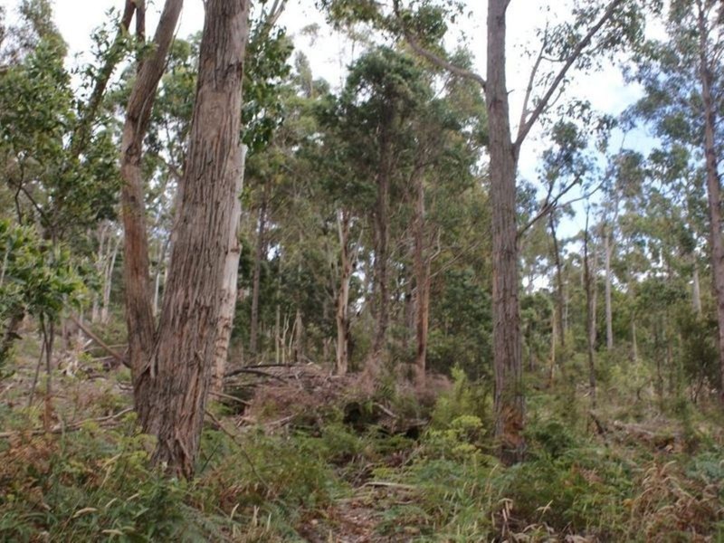 Lot 1 Maroney’s Road, Deloraine TAS 7304