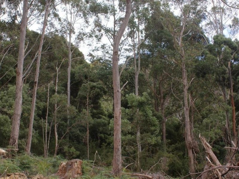 Lot 1 Maroney’s Road, Deloraine TAS 7304