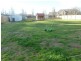 113A Dexter Street, Westbury TAS 7303