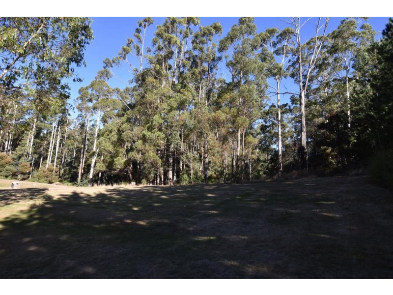 119 Dawkins Rd, Lower Beulah TAS 7306