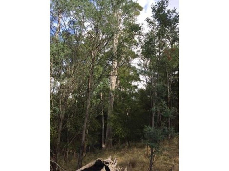 18 Pleasant Hills Drive, Grindelwald TAS 7277