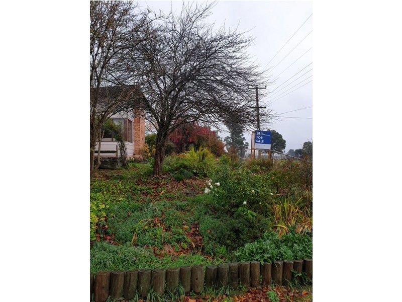 15 Union Bridge Road, Mole Creek TAS 7304