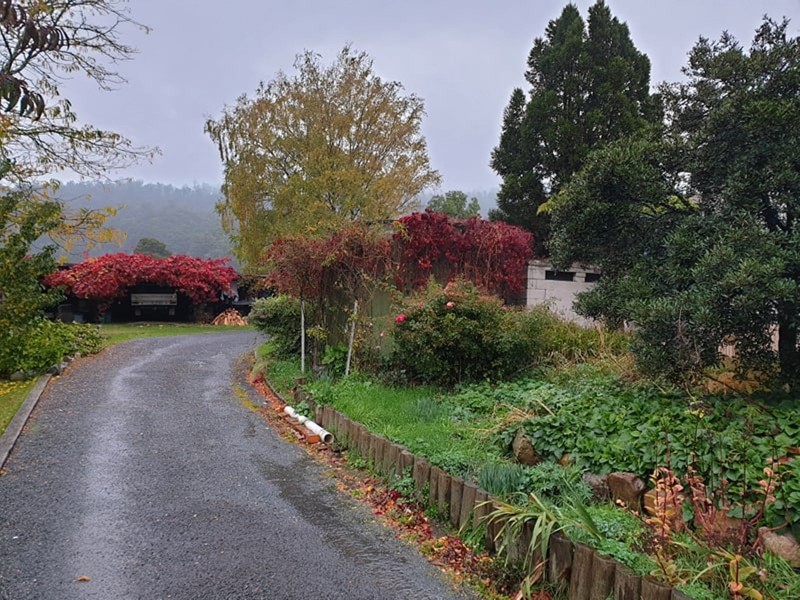 15 Union Bridge Road, Mole Creek TAS 7304
