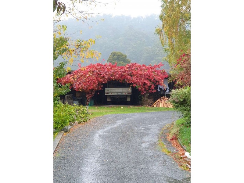 15 Union Bridge Road, Mole Creek TAS 7304