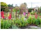 5588 Bass Highway, Elizabeth Town TAS 7304