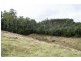 5588 Bass Highway, Elizabeth Town TAS 7304