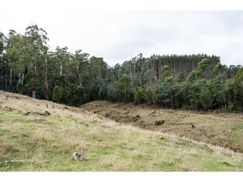 5588 Bass Highway, Elizabeth Town TAS 7304