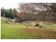 5588 Bass Highway, Elizabeth Town TAS 7304