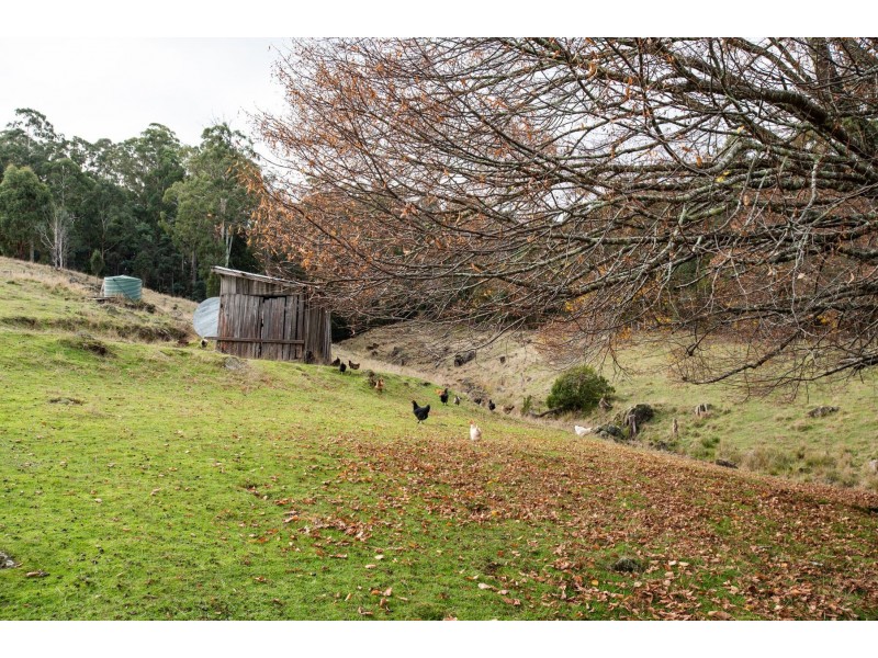 5588 Bass Highway, Elizabeth Town TAS 7304
