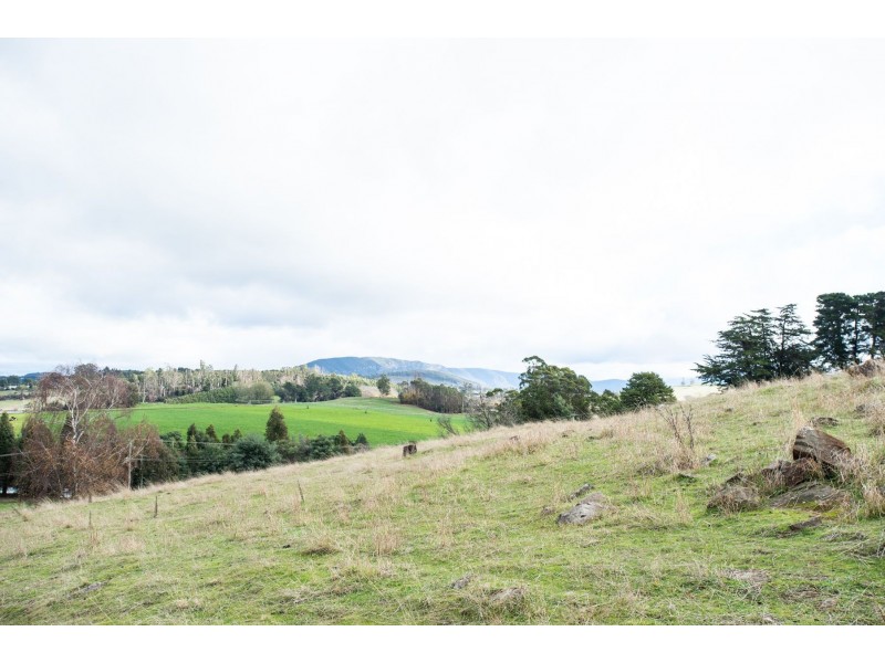 5588 Bass Highway, Elizabeth Town TAS 7304