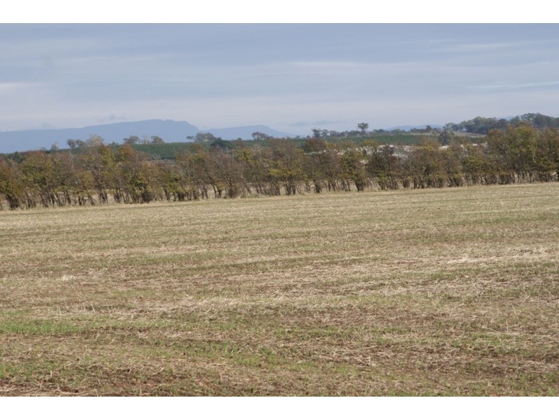 Lot 2 Trafalgar Lane, Evandale TAS 7212