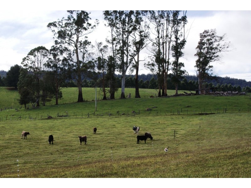 5284 Bass Highway., Deloraine TAS 7304