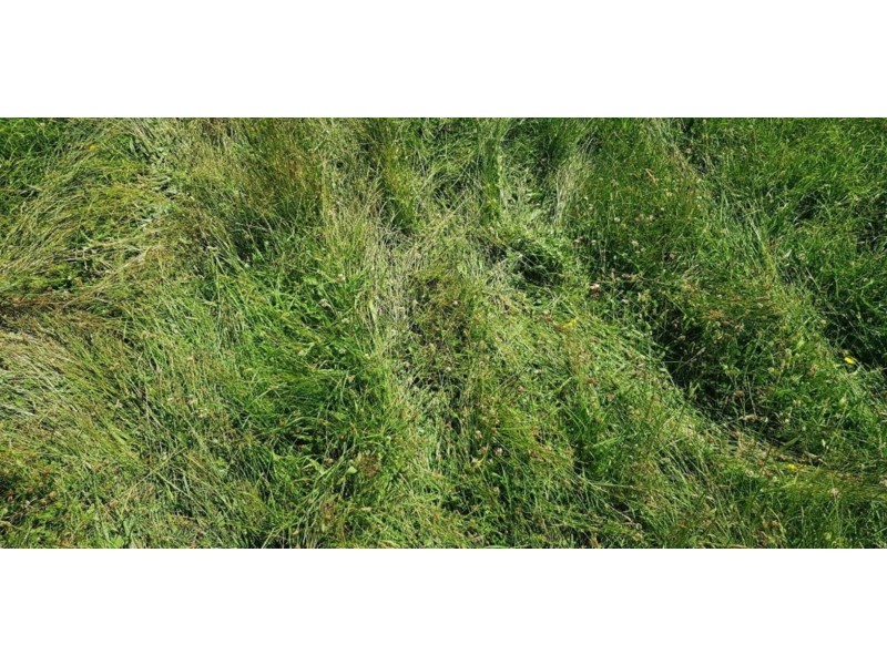 5381a Bass Highway, Deloraine TAS 7304