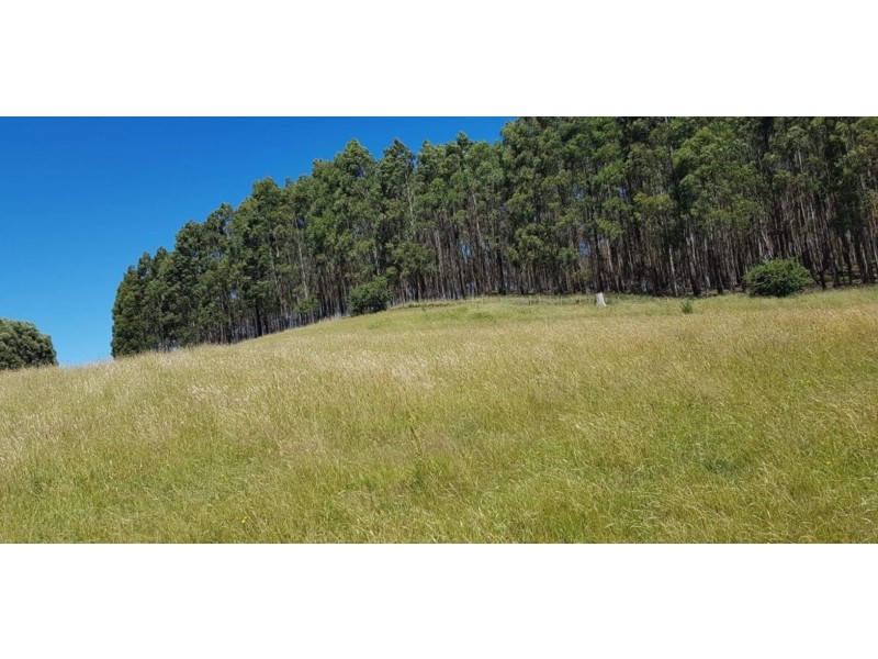 5381a Bass Highway, Deloraine TAS 7304