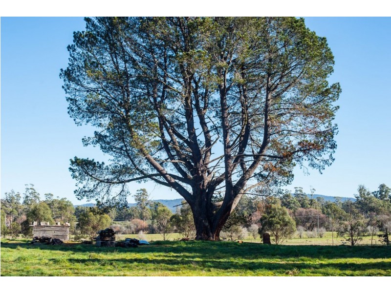 618 Frankford Road, Glengarry TAS 7275