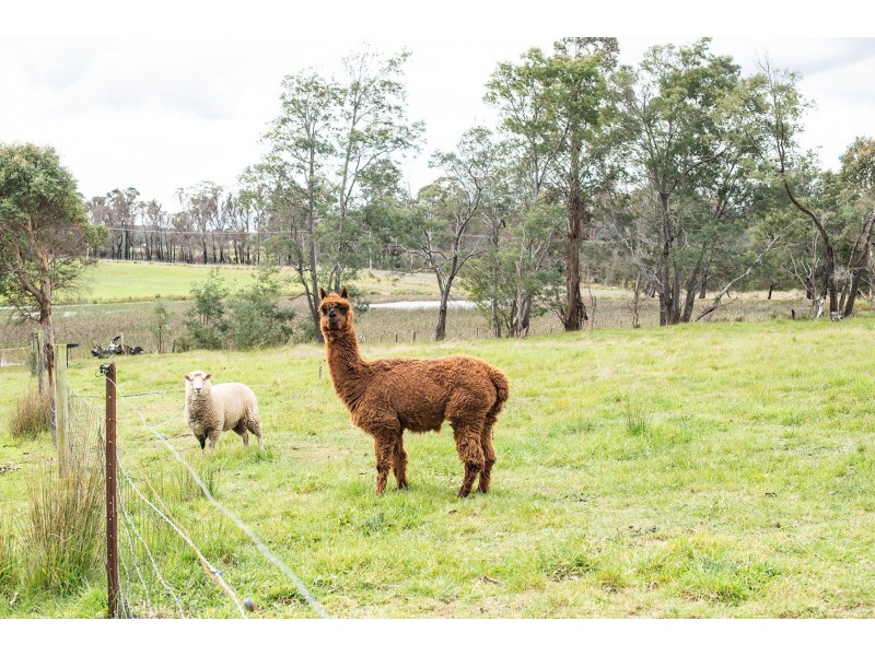 30 Roseburn Road, Rosevale TAS 7292