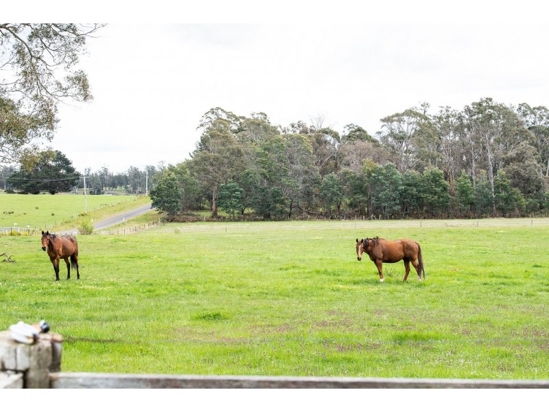 30 Roseburn Road, Rosevale TAS 7292