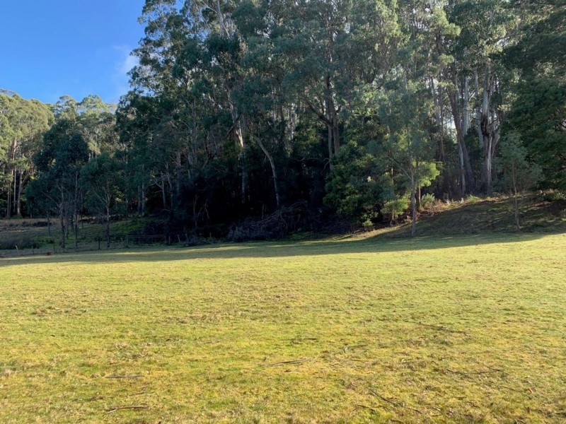 493 Weetah Road, Weetah TAS 7304