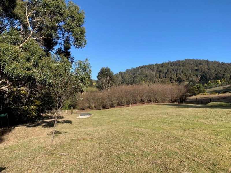 493 Weetah Road, Weetah TAS 7304