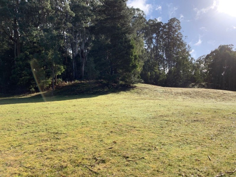 493 Weetah Road, Weetah TAS 7304