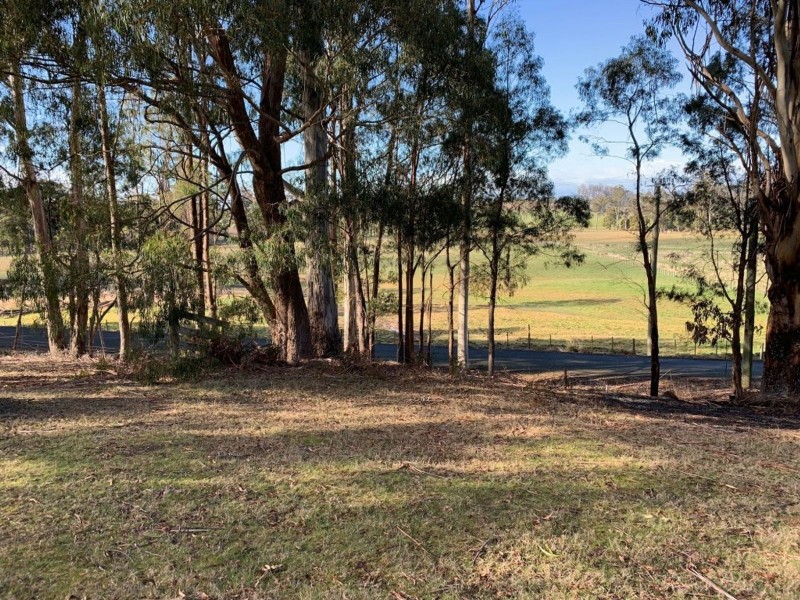 493 Weetah Road, Weetah TAS 7304