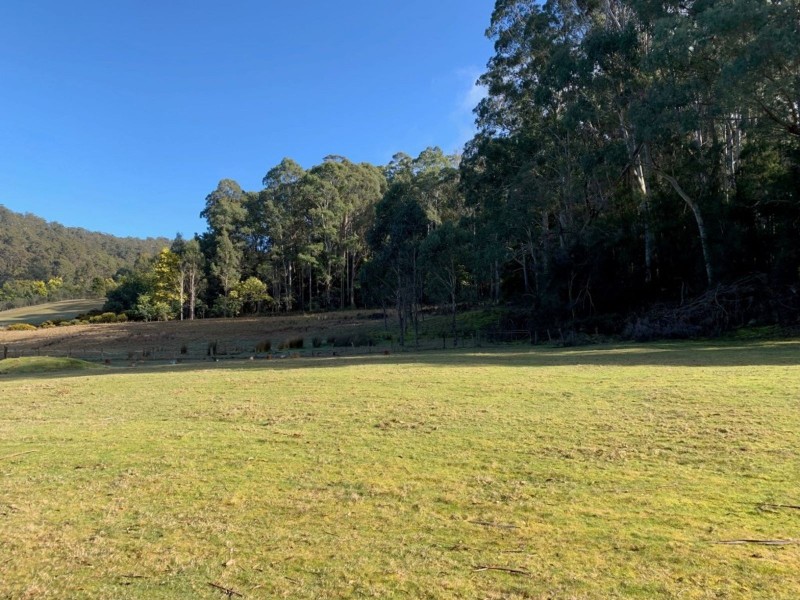 493 Weetah Road, Weetah TAS 7304