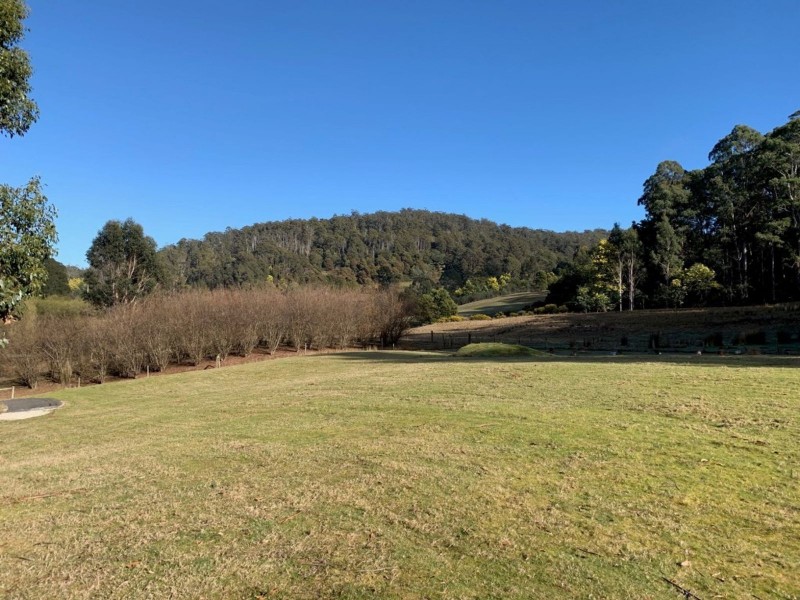 493 Weetah Road, Weetah TAS 7304
