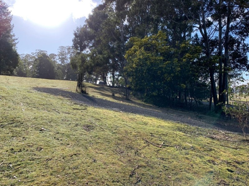 493 Weetah Road, Weetah TAS 7304